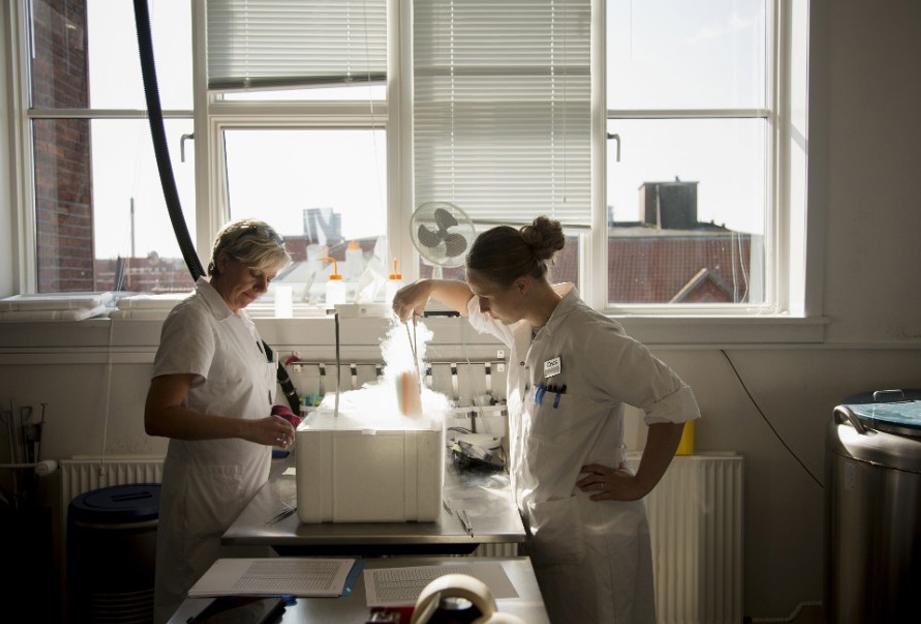 最强“配种王”一年捐精超百次：日本人为了“小蝌蚪”多么疯狂？