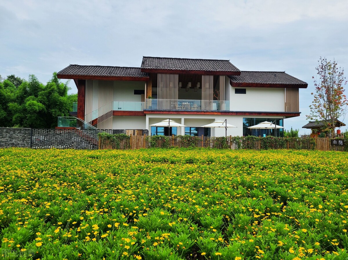 大城市不香了？自媒体能让在家创业，回乡创业从不现实变成现实吗