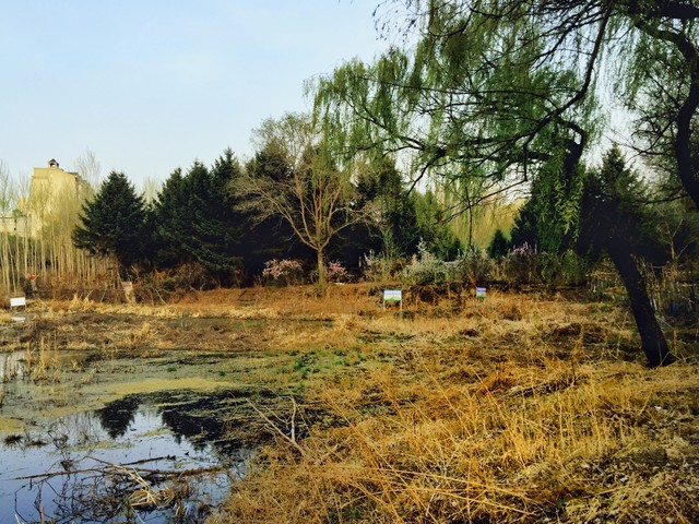 惊喜惊喜，粮食涨价两分钱