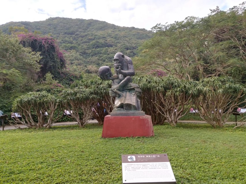 三亚旅游凤凰岛攻略,海南三亚旅游攻略文档