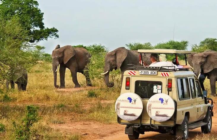 去非洲旅游需要准备什么？