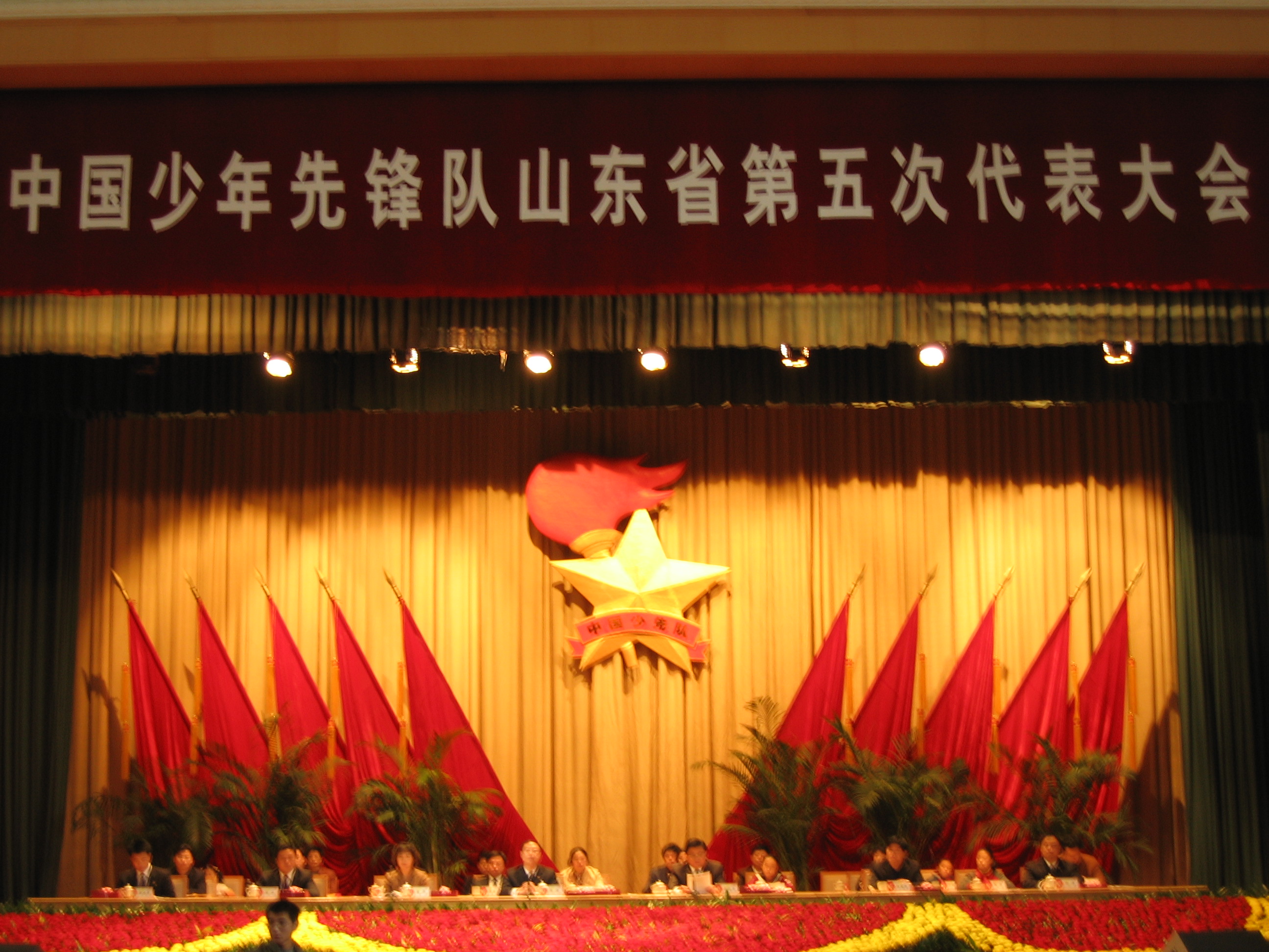 【星星火炬传】领巾与童心的交响——参加山东省第五次少代会回眸