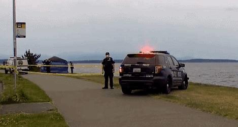 閲忓瓙鍔涘杞欢鎺ㄨ崘,閲忓瓙鍔涘杞欢