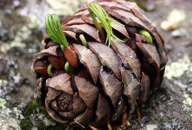 人落魄时遇见帮你的人一定要珍惜,当你落魄的时候请记住这四句话