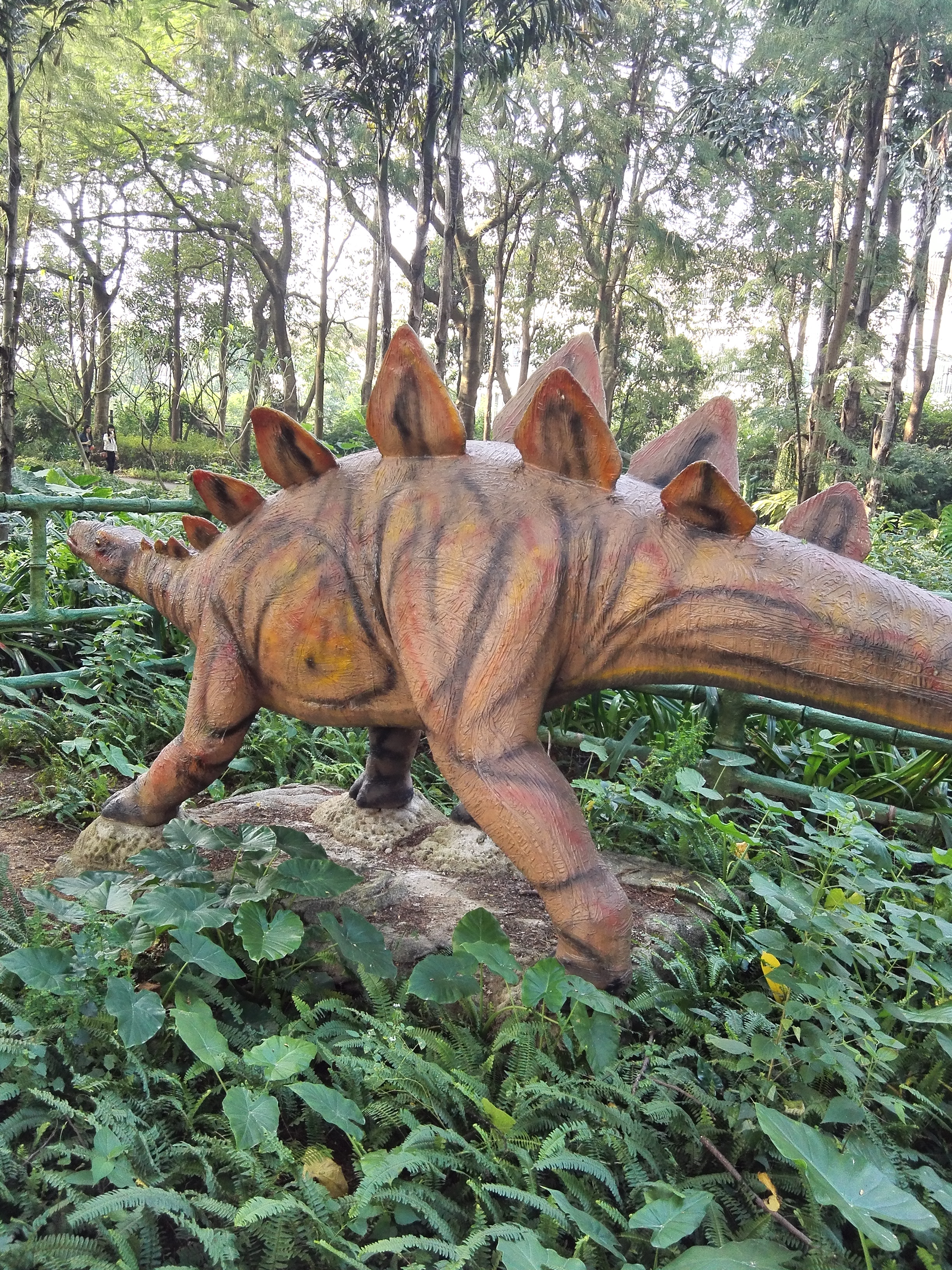 深圳平峦山公园,深圳宝安平瑾山公园图片大全