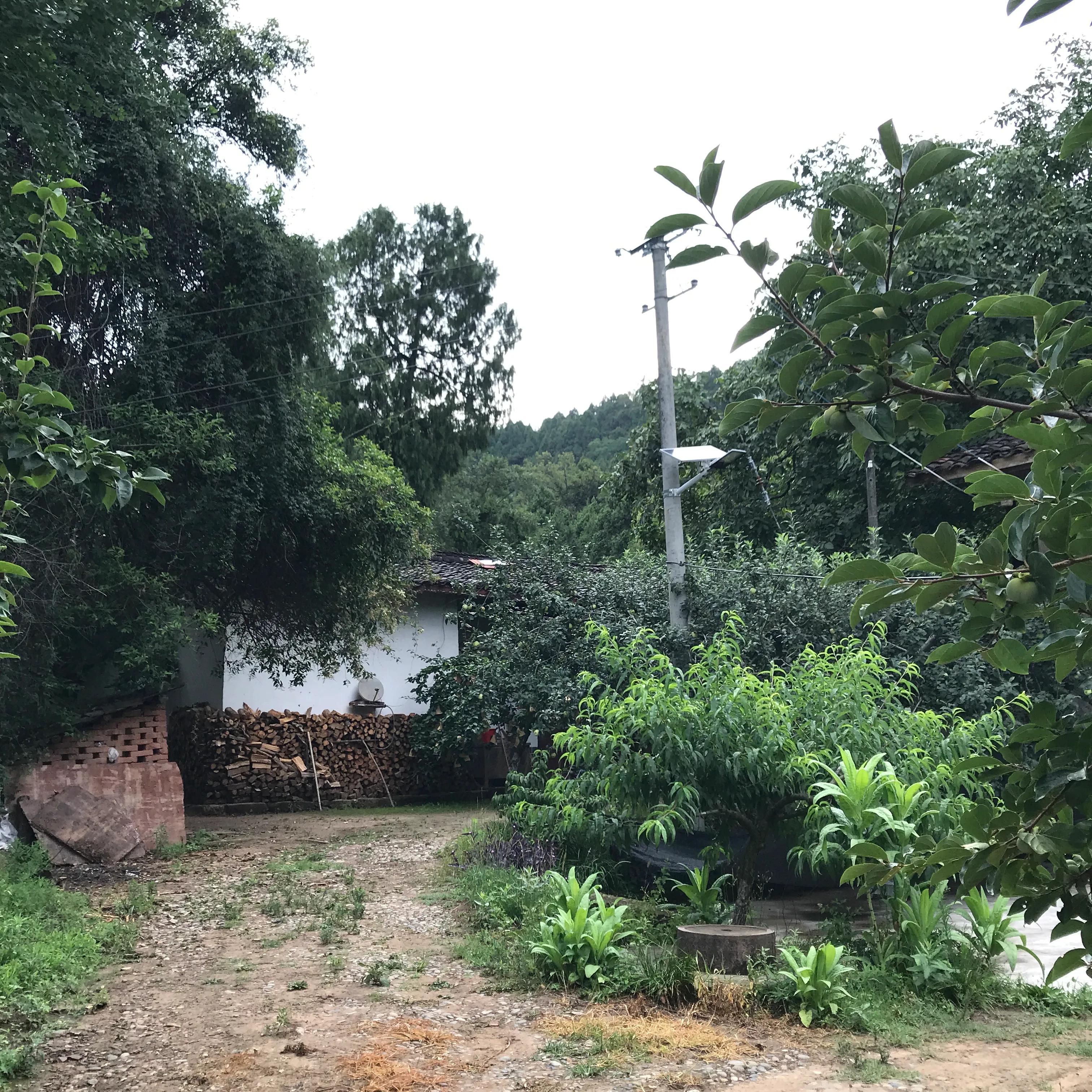 世外桃源山顶的隐居生活,山顶世外桃源