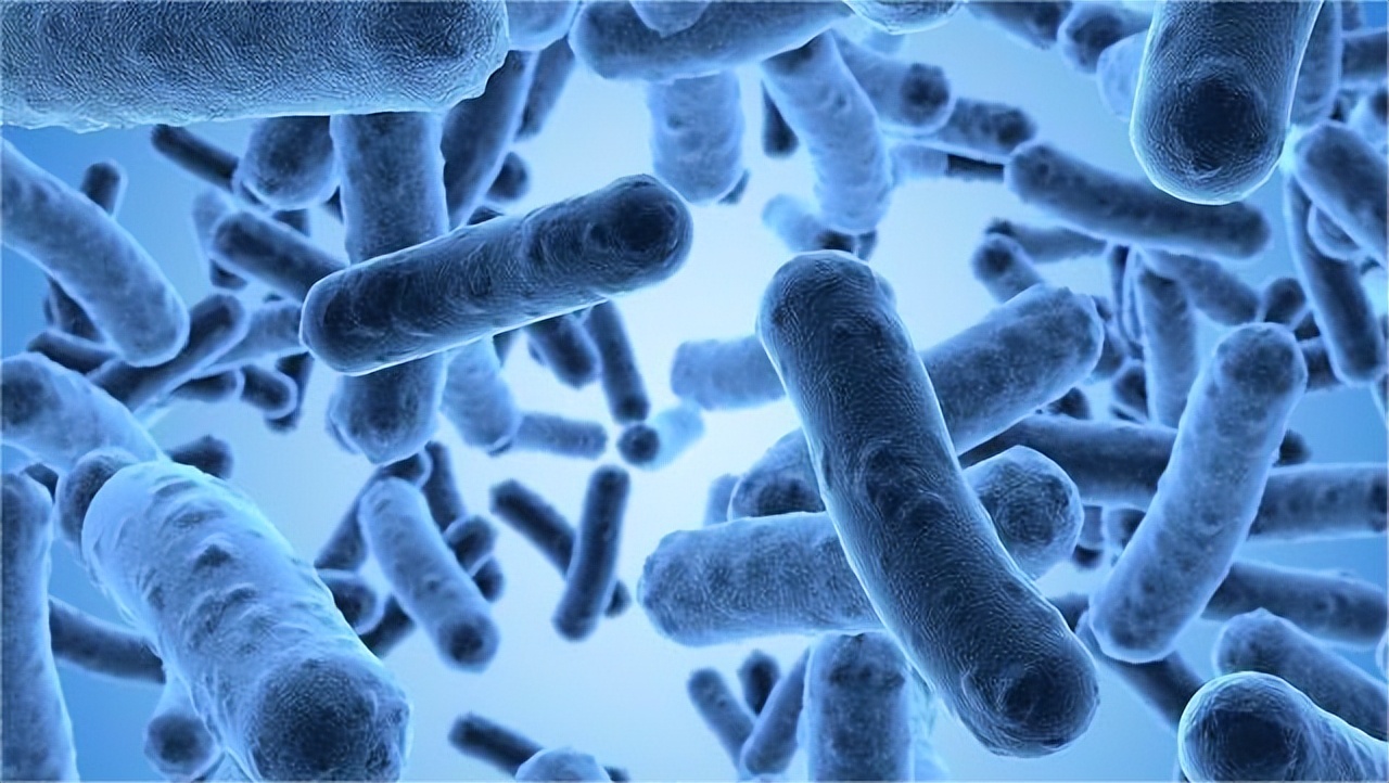 下体有酸奶味是什么原因,下体有酸奶味怎么回事