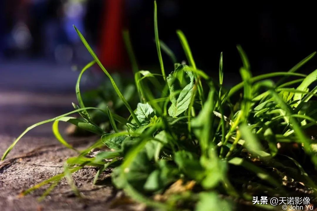 理光griiix怎么样,理光gr3x值不值得入手