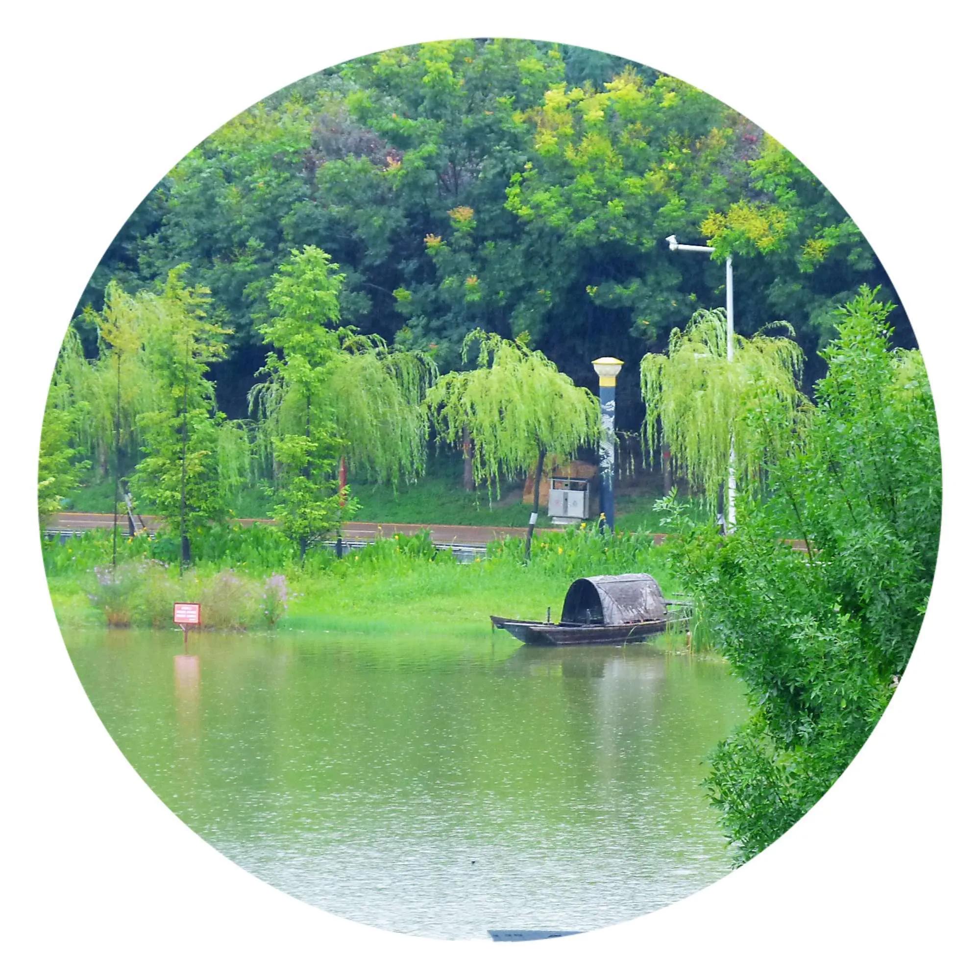 我的家乡鹿邑老子故里作文,我的家乡鹿邑作文400字怎么写