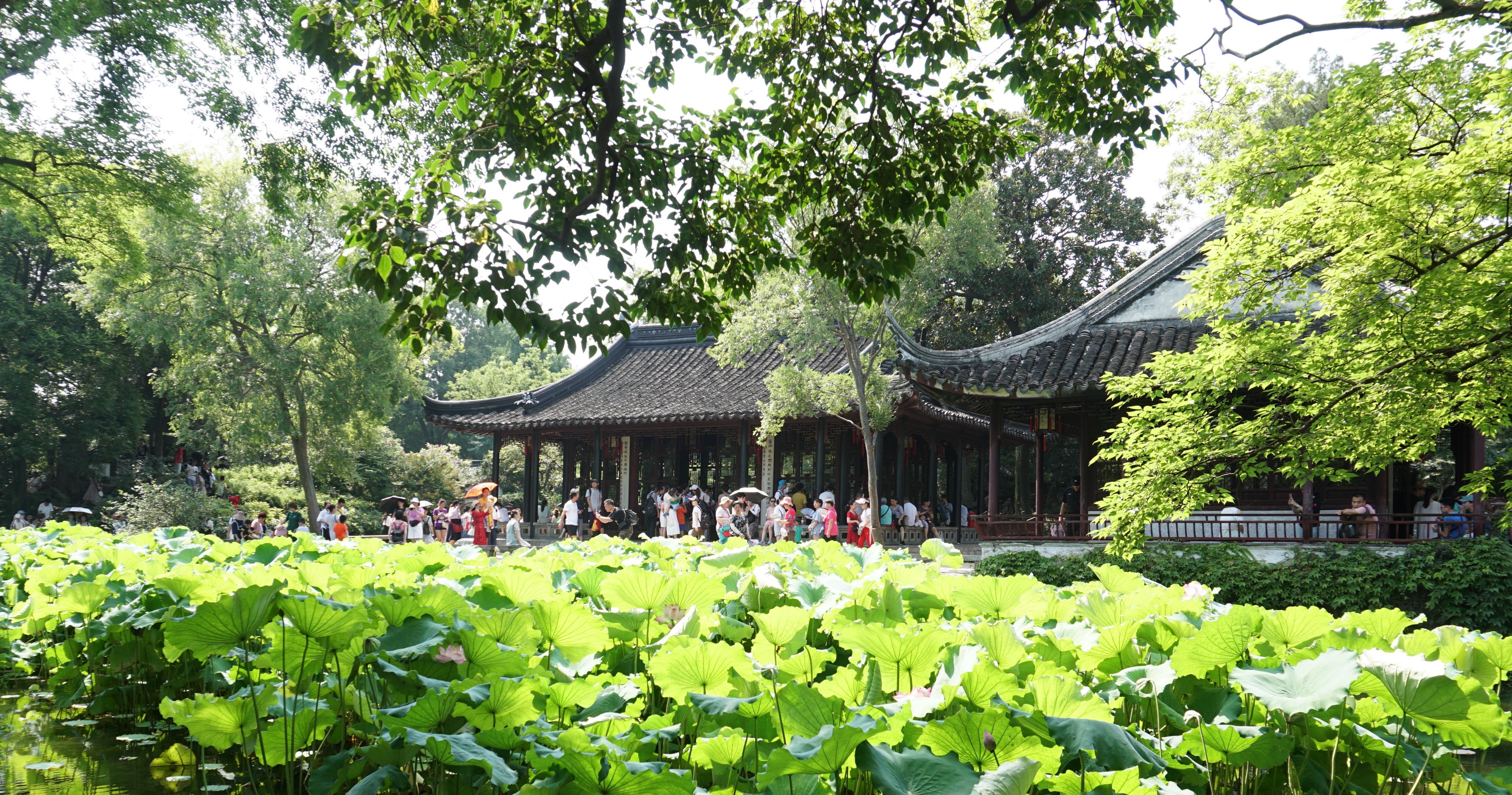 漫步拙政园一步一景,雨中漫步拙政园寻找江南水乡美