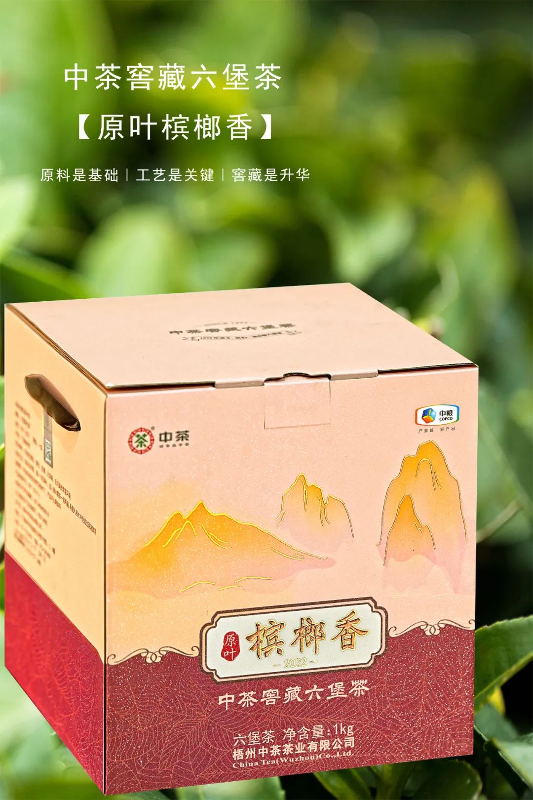 中茶窖藏六堡茶中国红特级,中茶高山野韵和原叶槟榔香哪个好