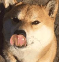 中国人下南洋如何白手起家,白手起家的人特征