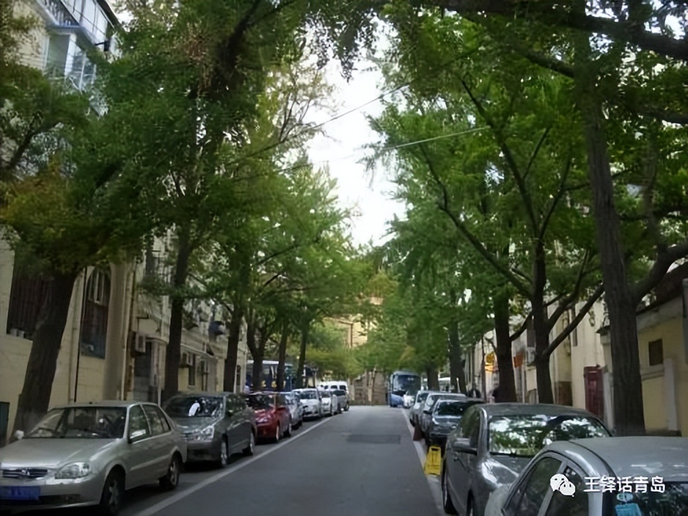 王铎回忆录《一蓑烟雨》219：十四、野性星空：从打棒球到剥白果