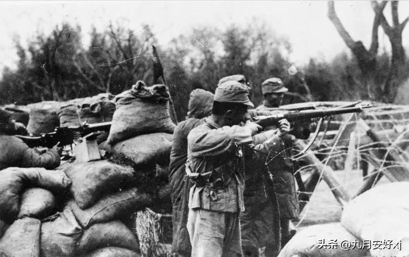 淞沪会战大溃退时的伤亡,淞沪会战溃退的德械师