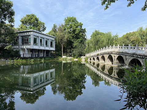 鍒濆涔嬫梾榛勯噾娴峰哺,鍒濆涔嬫梾