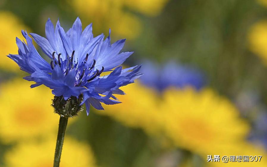 看了就知道的豪车知识,关于德国的一些知识