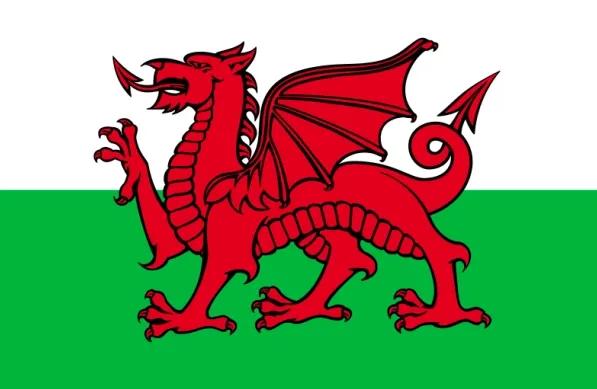 世界杯晋级图威尔士,世界杯意难平时刻威尔士