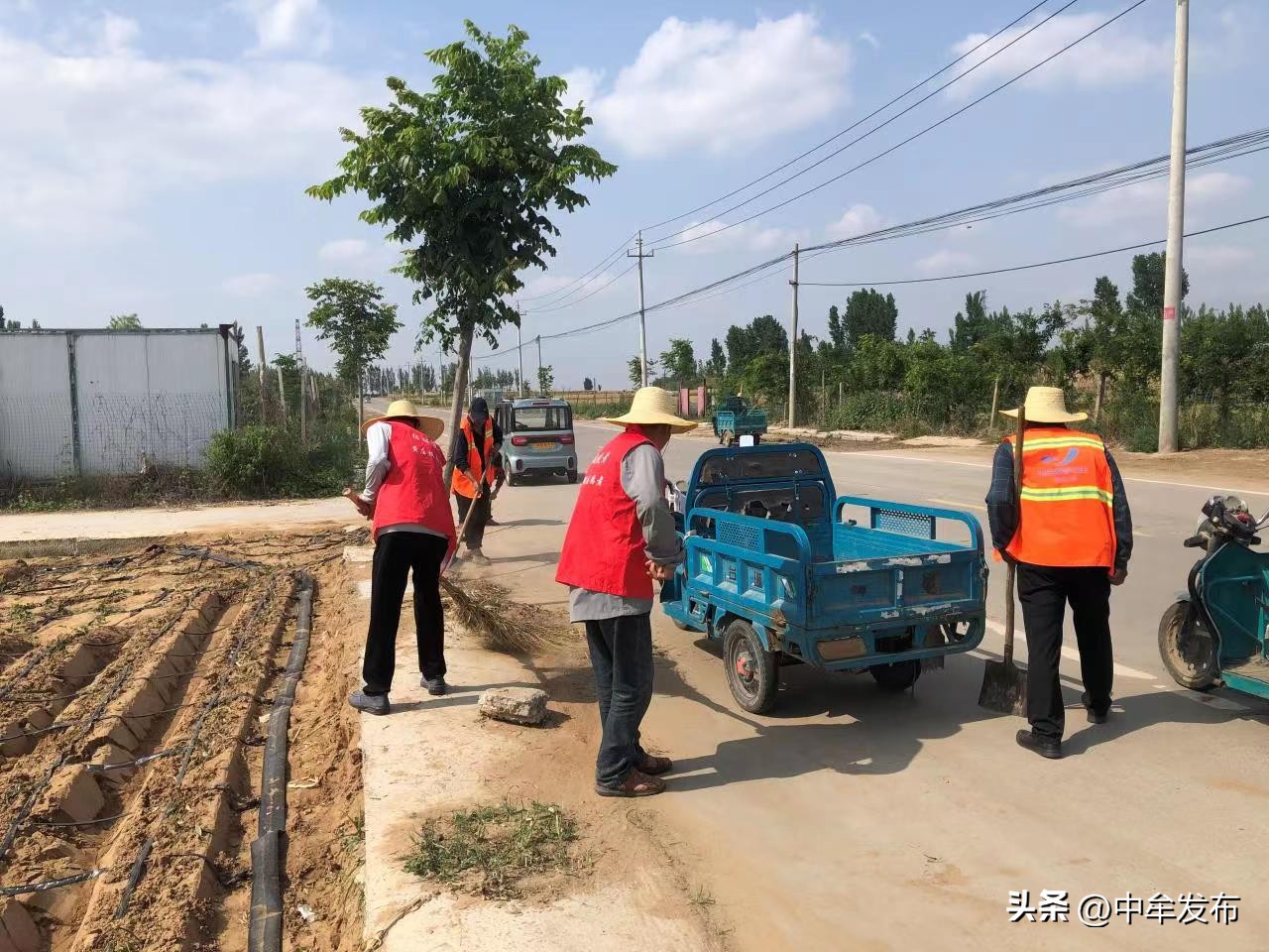 黄镇美丽乡村建设,杨湾镇整治人居环境扮靓美丽乡村