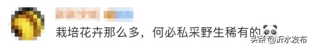 不要买它！“有毒，还违法！”