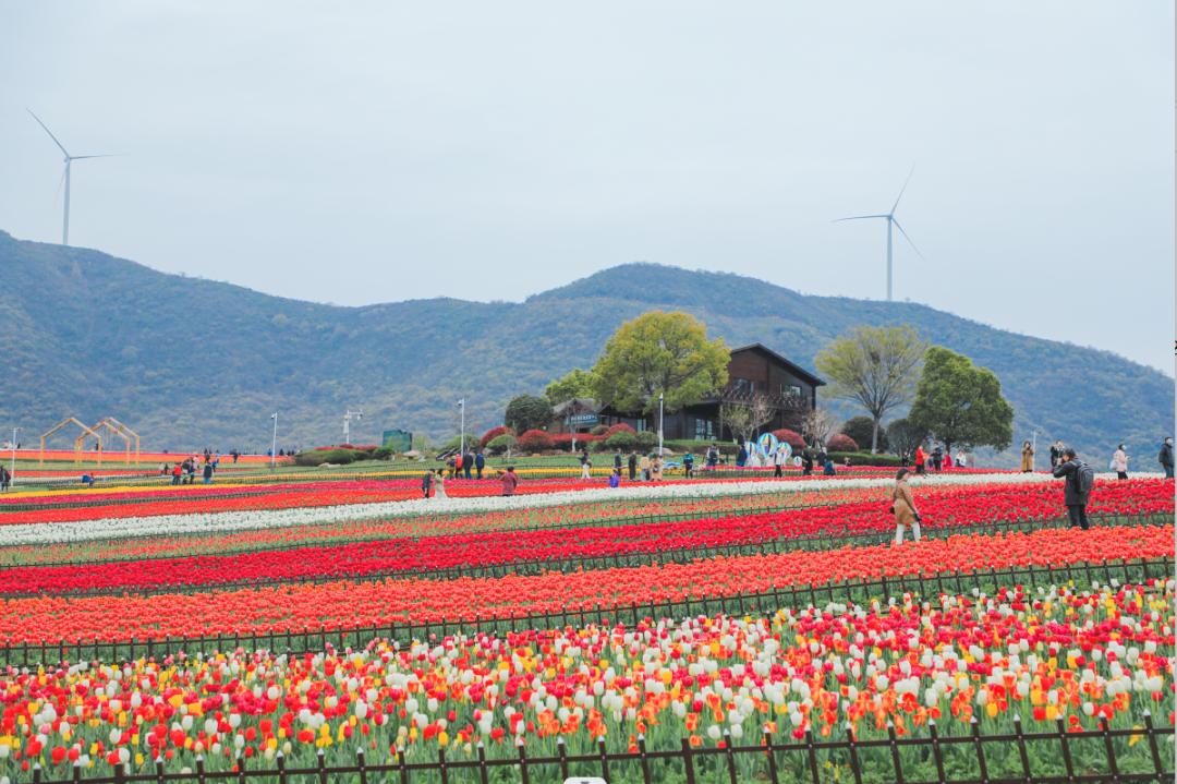 合肥至拉萨火车旅游线路,合肥十大自驾游路线