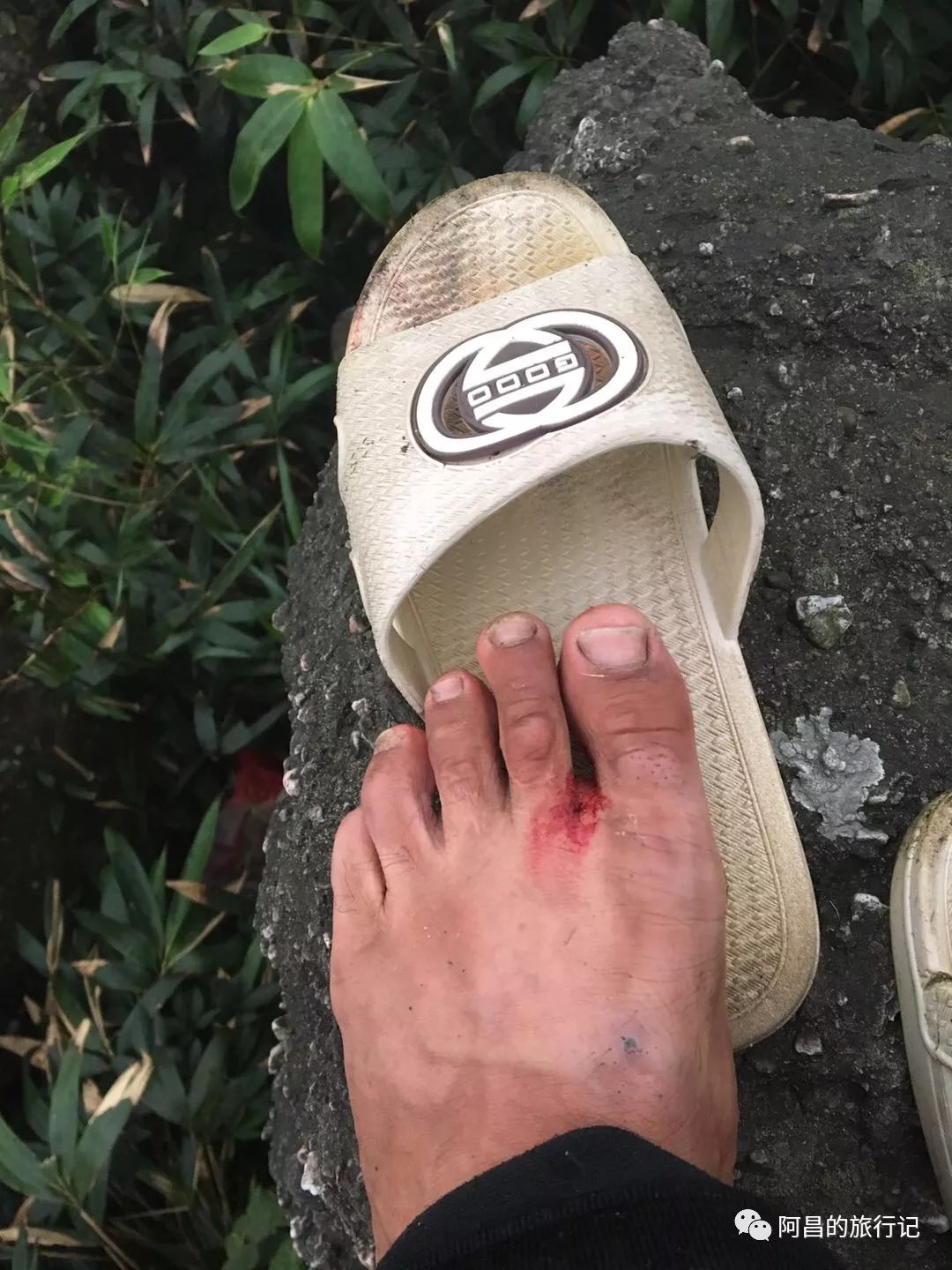 广西十万大山国家森林公园,广西十万大山国家森林公园图片