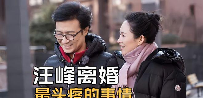 汪峰离婚后都不需要疗伤吗,汪峰离婚四次都分资产了吗