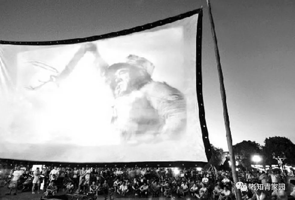 50年代的少年,50年代的人成长经历