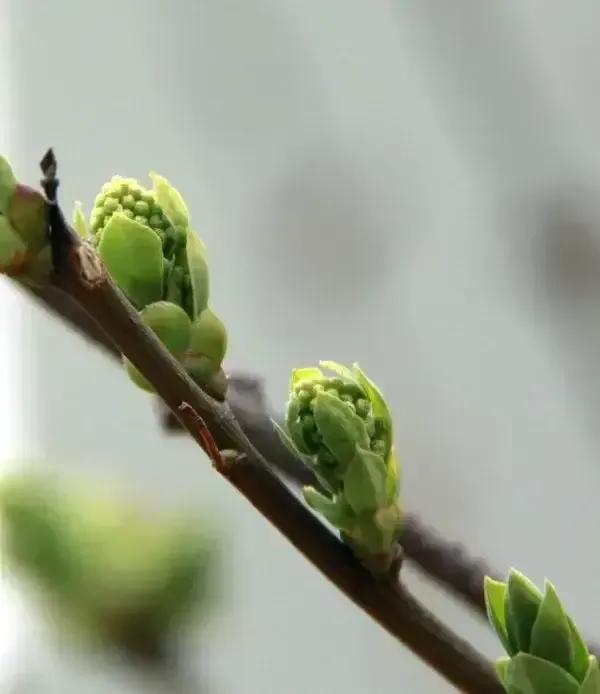 童年趣事100个小故事,童年趣事作文500字