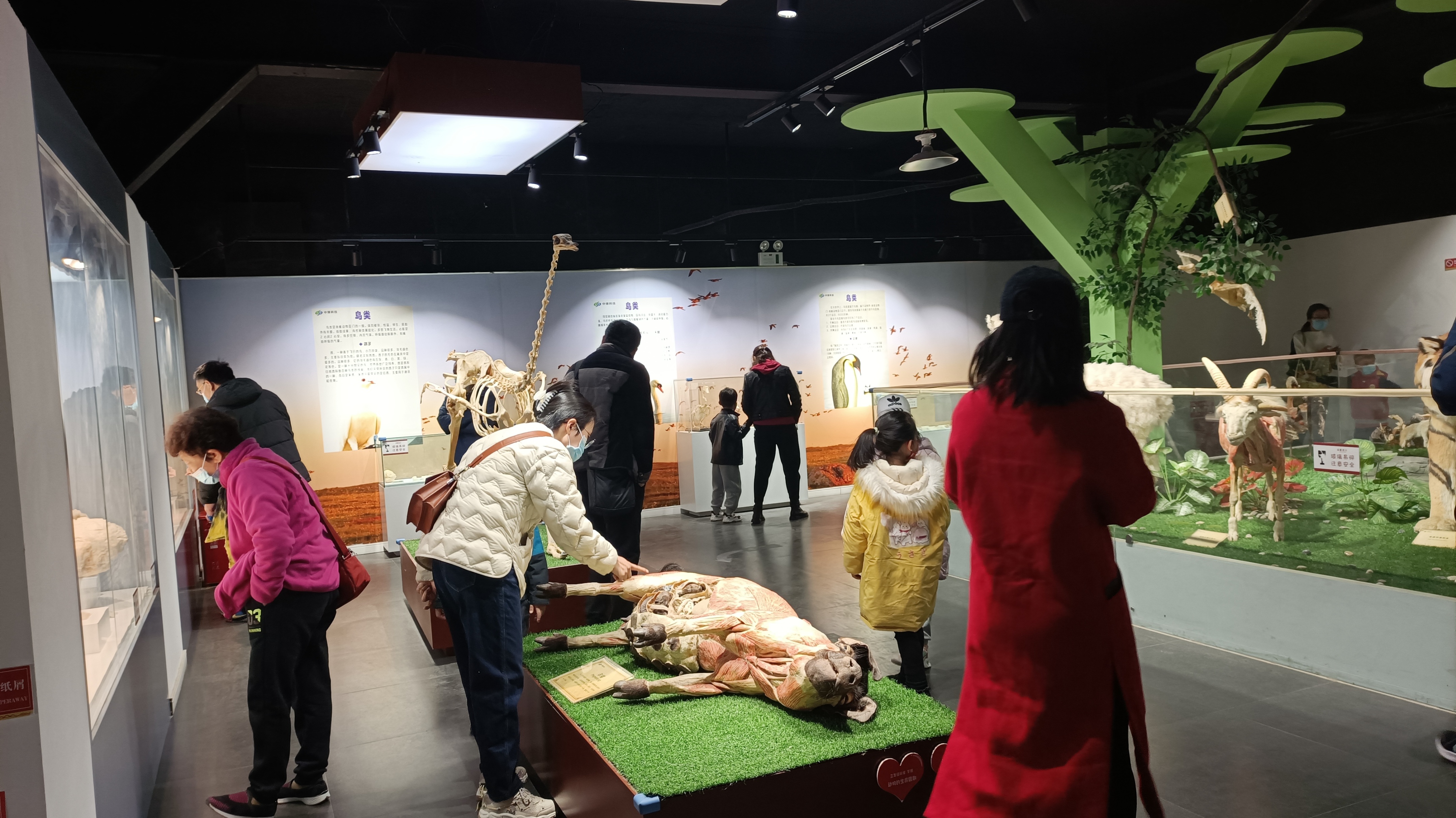 郑州惠济区适合小孩玩的免费地方,惠济区适合小孩游玩