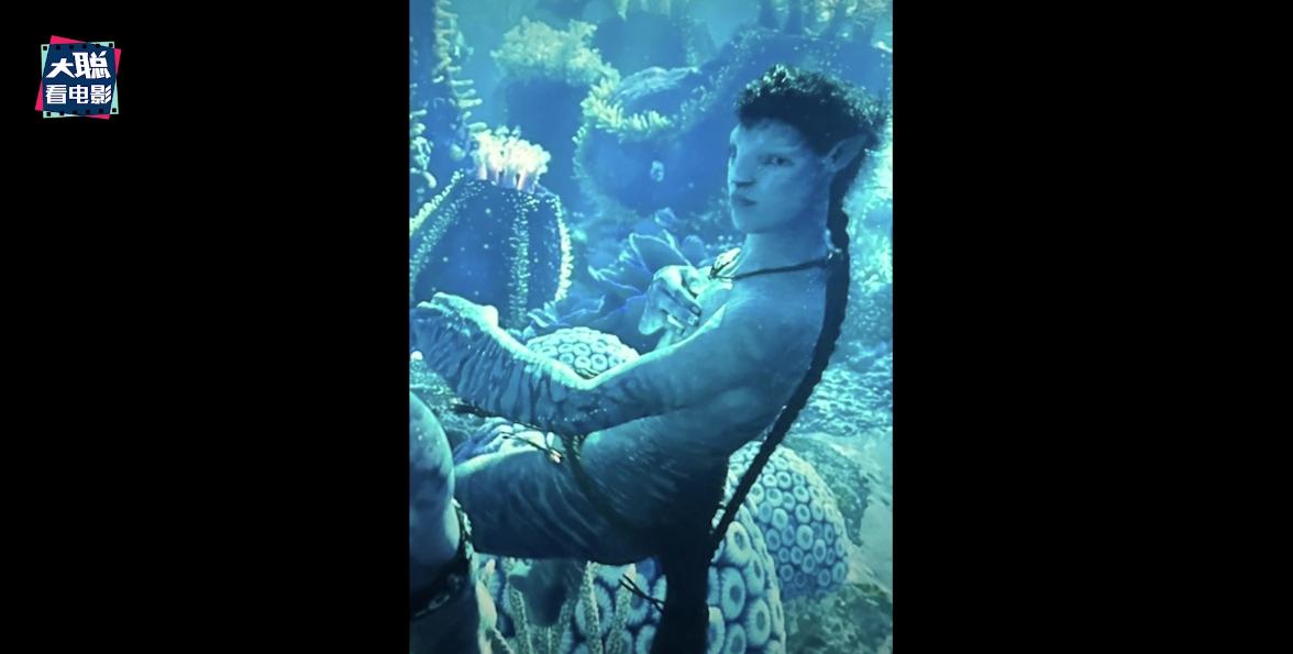 阿凡达2曝光全新中文海报及预告,外网曝阿凡达2预告