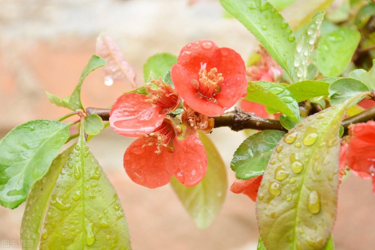 十二首非著名“雨”诗，人间的精灵，有多少浪漫和诗意，尽在其中