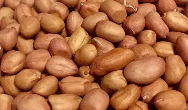 正月十二老鼠忌讳什么,正月十二老鼠节吃饺子