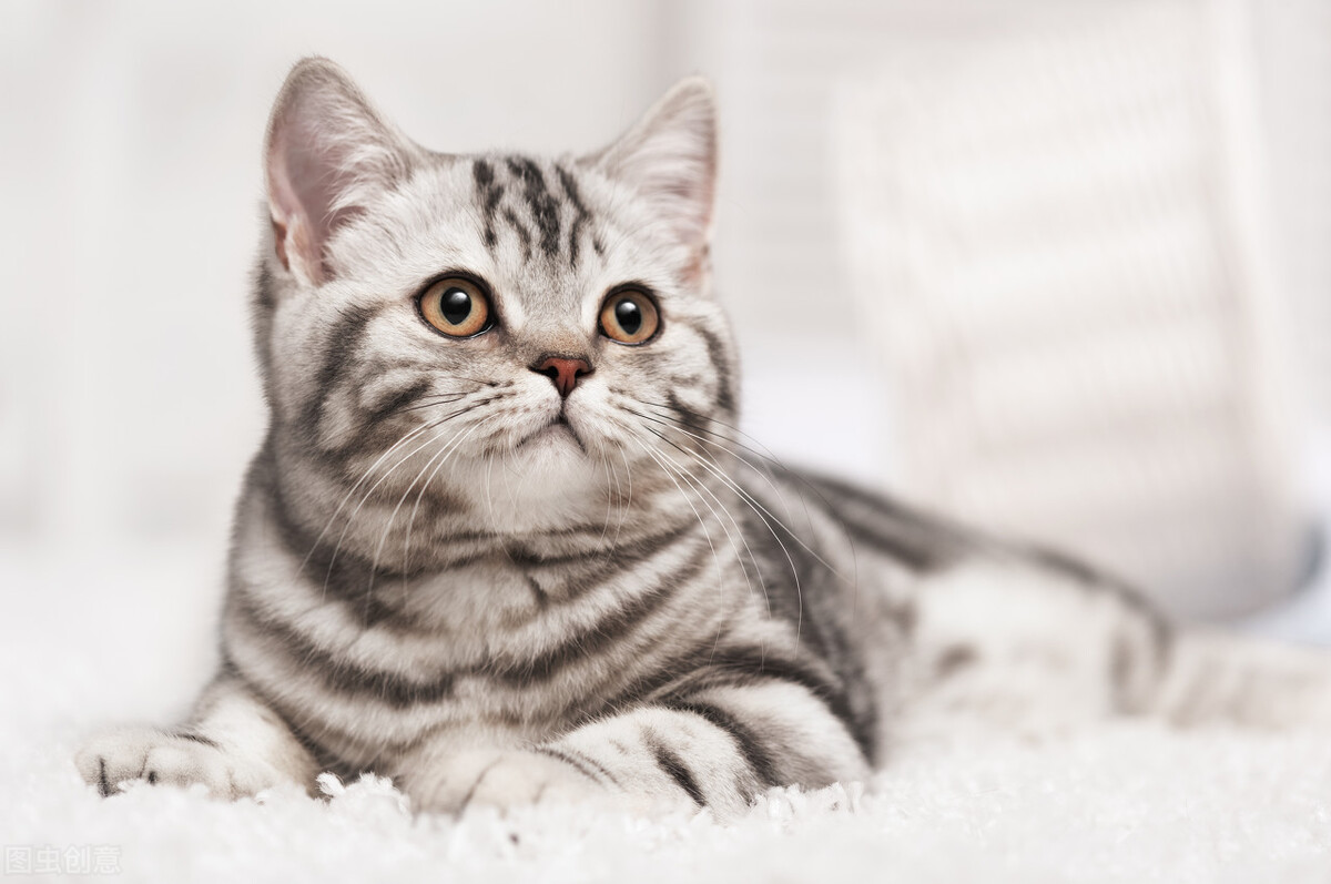 搞笑反转的文案发朋友圈,那些笑掉你下巴的沙雕神反转文案