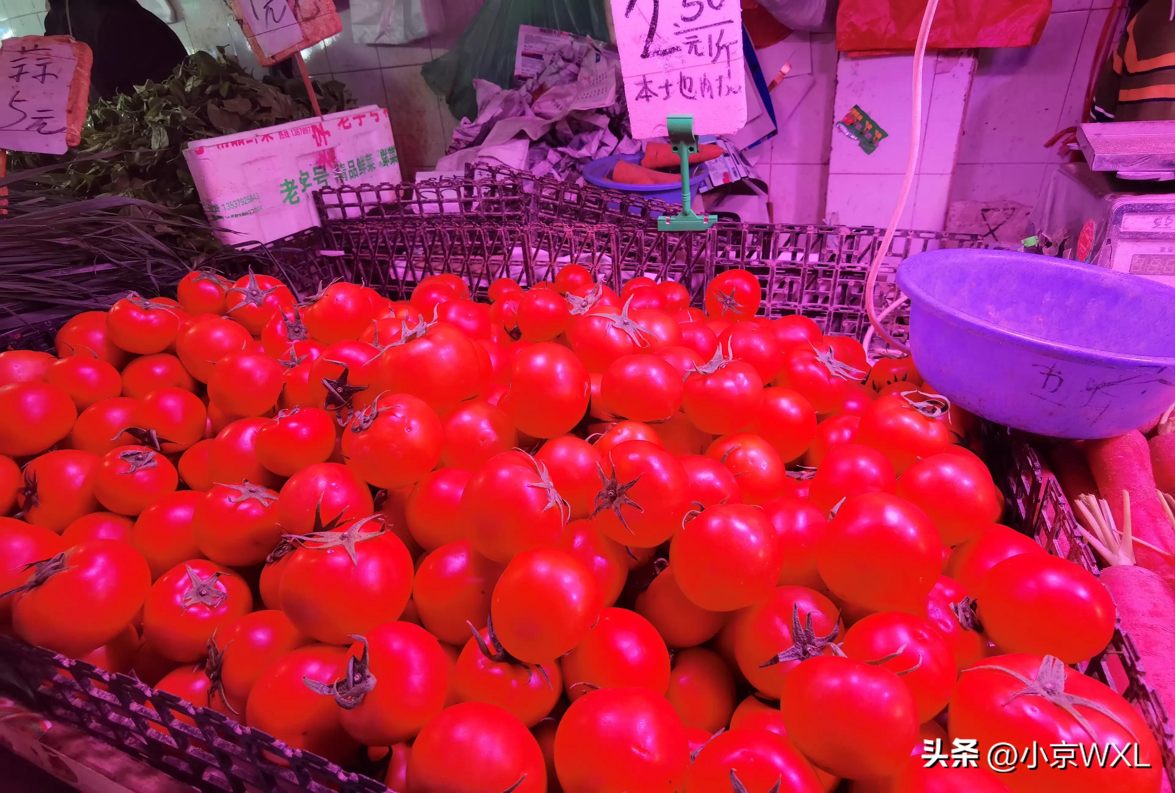 沙园市场在哪里,沙园市场最新动态