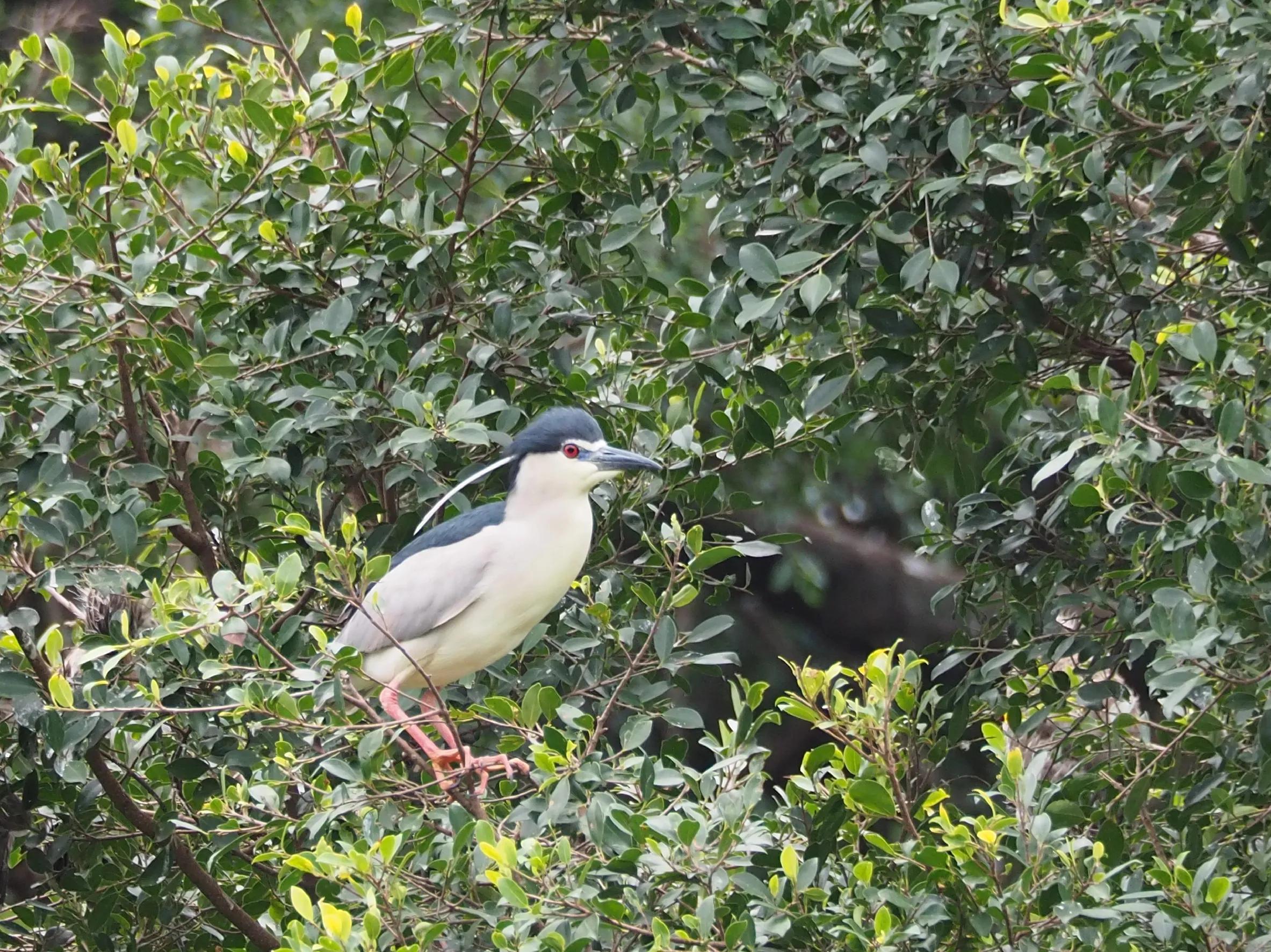 五一假期，O记实录