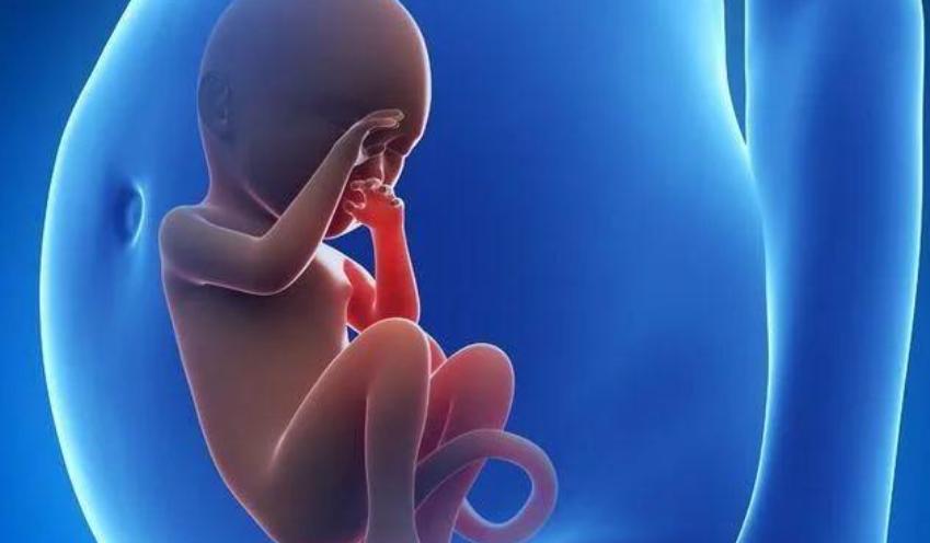 一天接了3个急诊，都是黄体破裂，黄体到底是什么？看完涨知识了