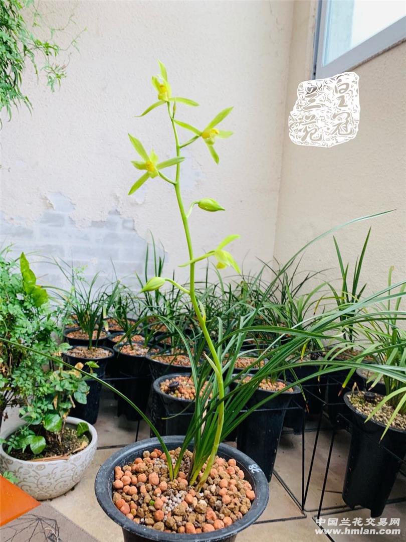 80鍚庡皬浼欏吇鍏扮殑骞冲焊鐢熸椿,90鍚庡吇鍏颁汉鎴愬姛妗堜緥