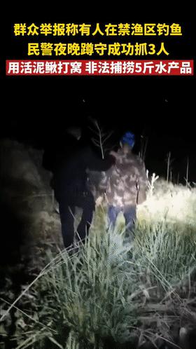 婀栧寳娉ラ硡鎵撶獫琚姄,婀栧寳娉ラ硡琚姄