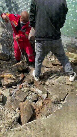 广东一家里出现3米长眼镜蛇,250厘米长眼镜蛇潜入家中惊心动魄