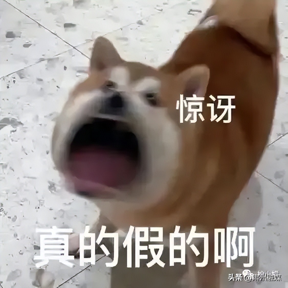 盘点那些在网购的山寨货,盘点那些网购的山寨物品