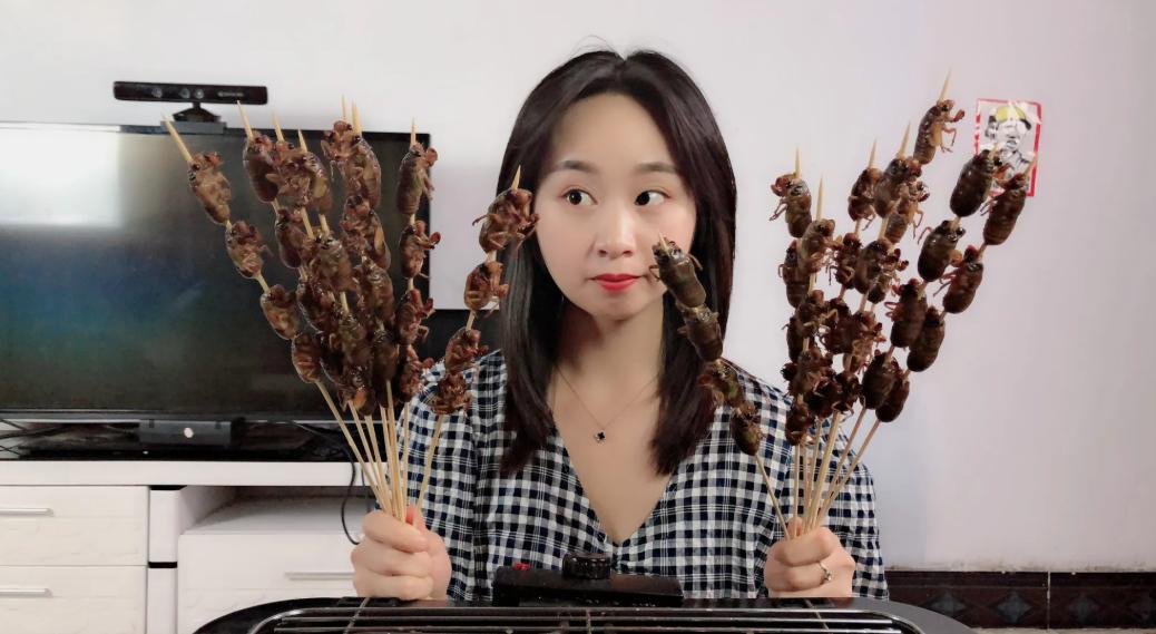 丽水市知了批发多少钱一斤,浙江丽水收知了多少一斤