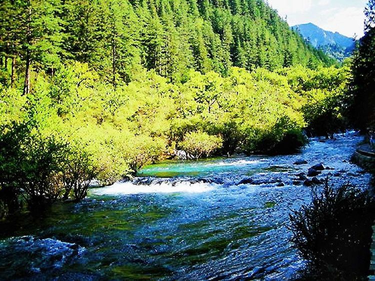 碧水逶迤湖色映九寨，银河泻影山水傲溟渤美篇制作：刘嘉国