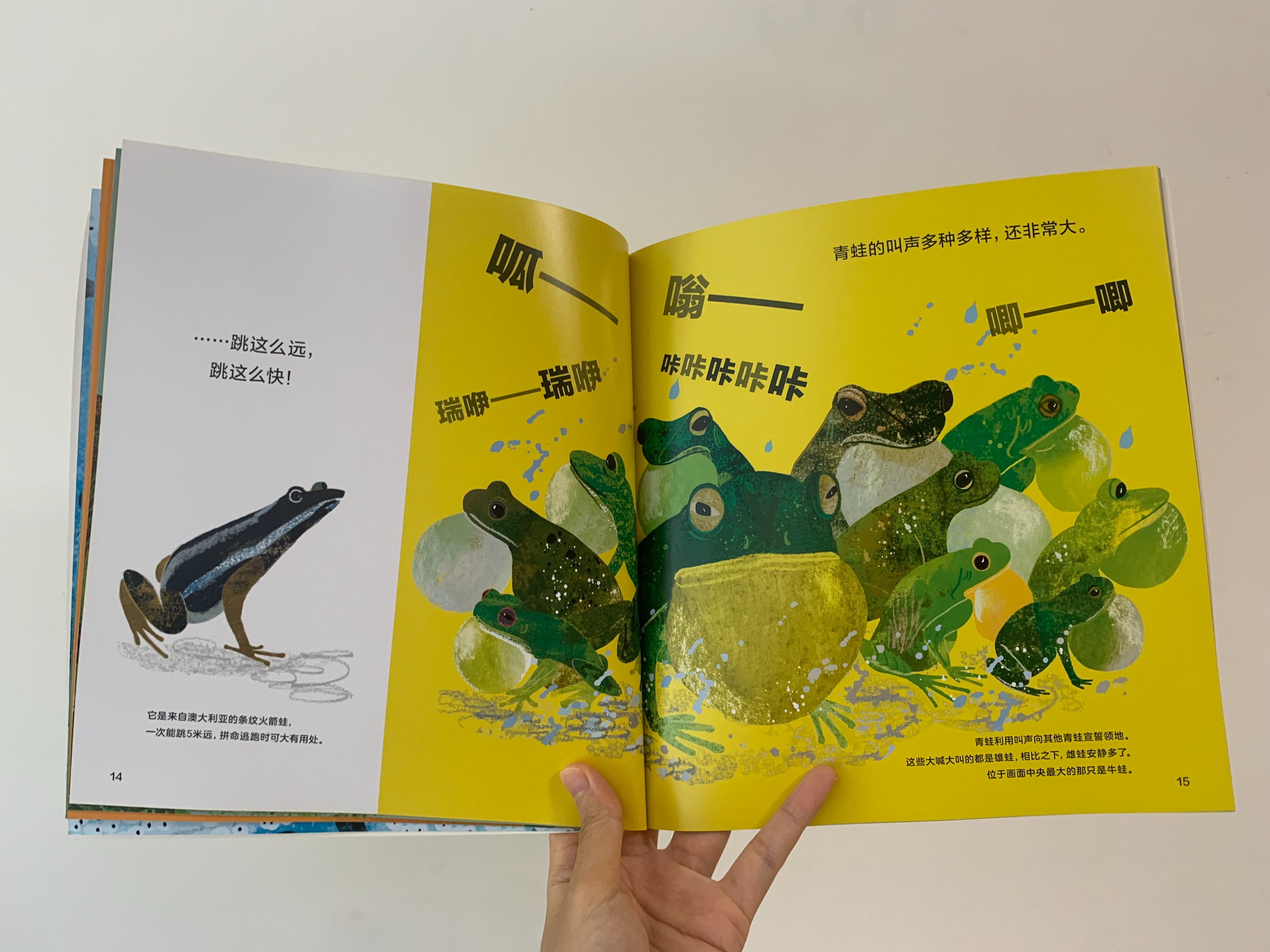 如何启发孩子观察大自然,培养孩子自然观察