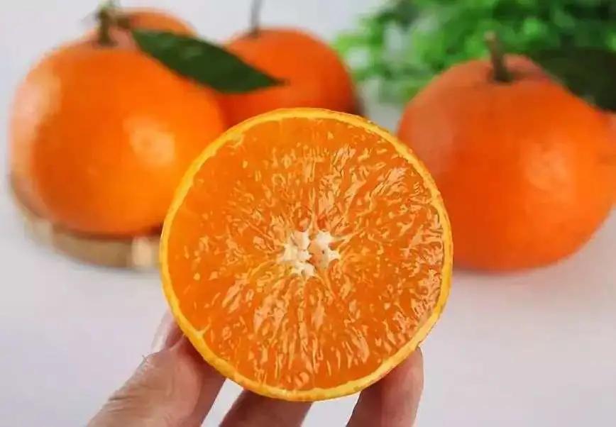 爱媛38号柑橘叶子小原因,爱媛38号柑橘是春梢结果吗