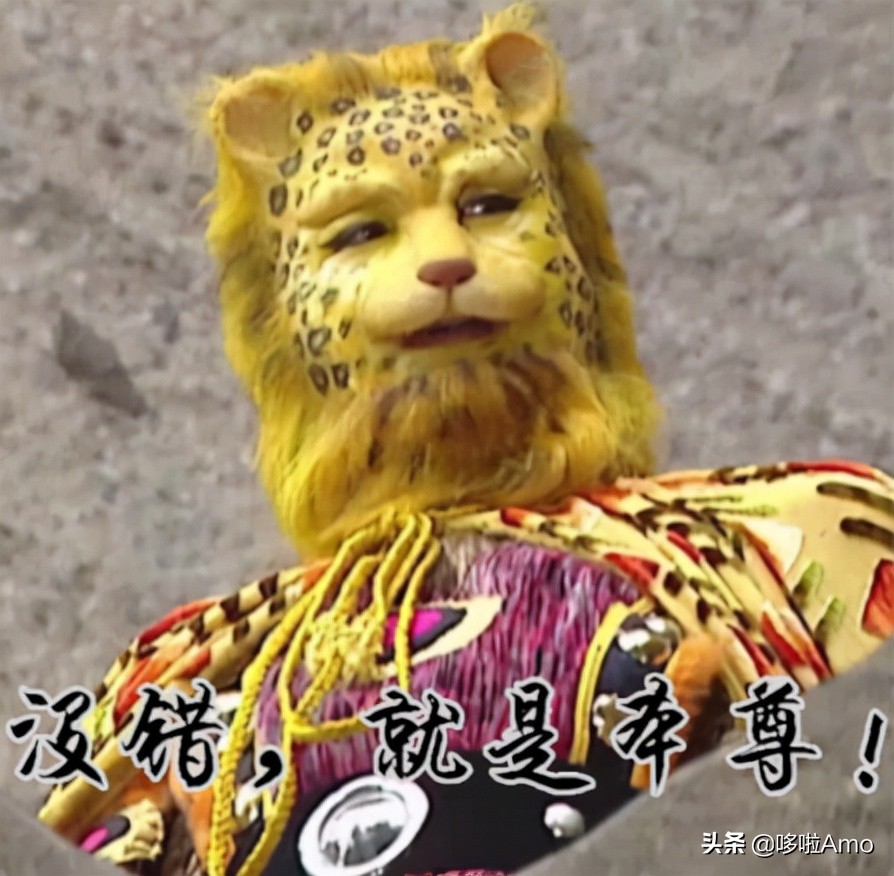 金钱豹动物科普介绍,金钱豹科普