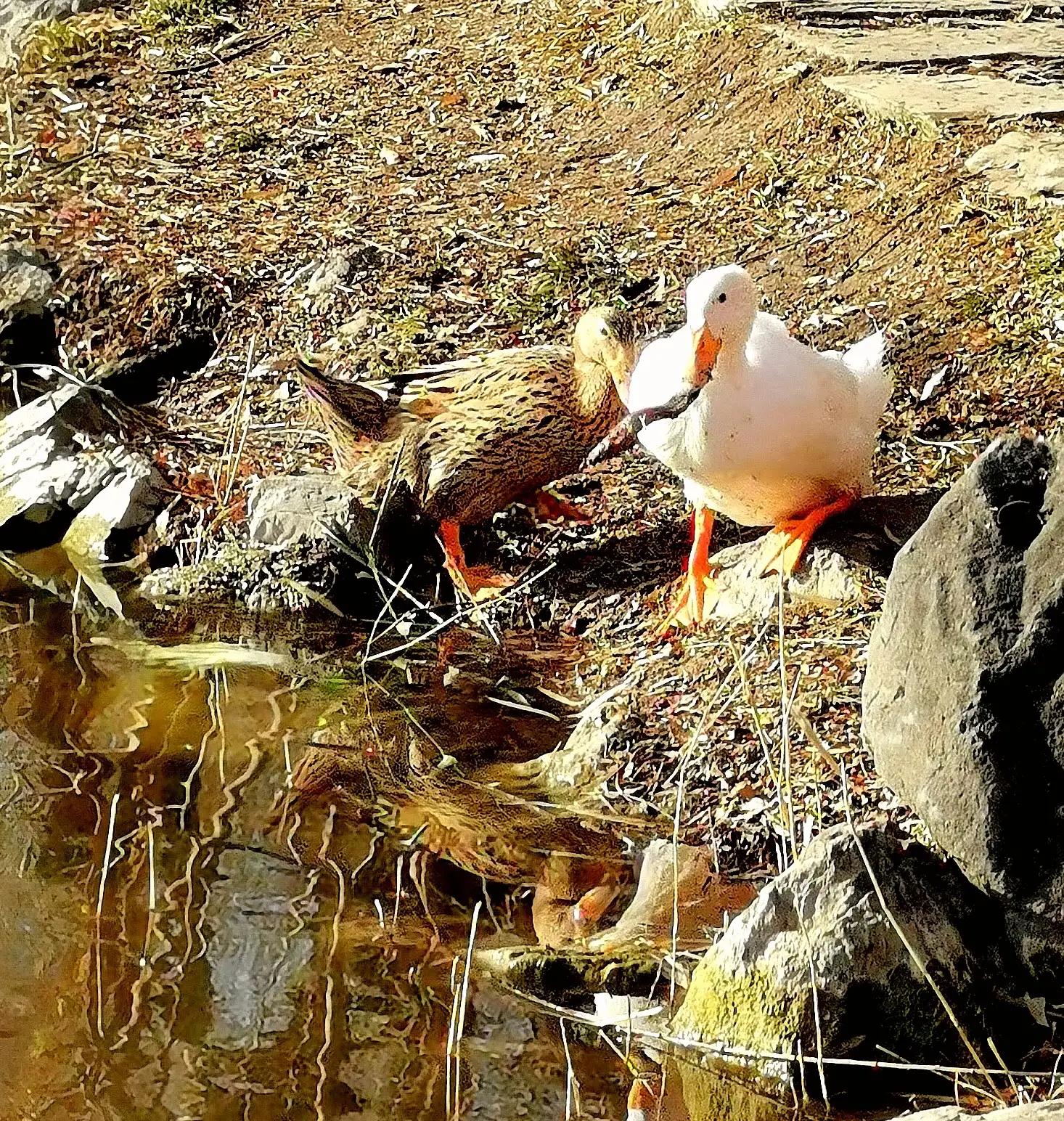 感觉如何产生,感觉如何解释