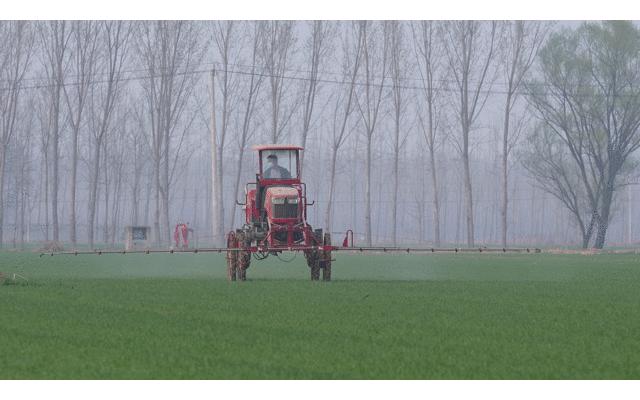 中国雕刻艺术之乡河北曲阳,曲阳雕刻产业规模