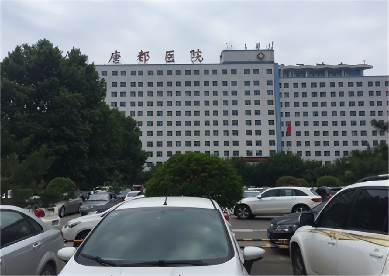 19岁花季少女遭施暴真实事件,13岁女孩陪酒遭群殴坠楼