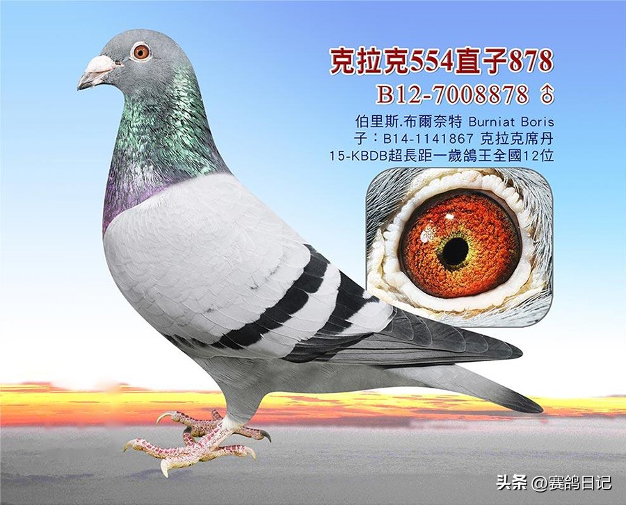 依天迪沃斯席丹号，伯里斯鸽系的起点