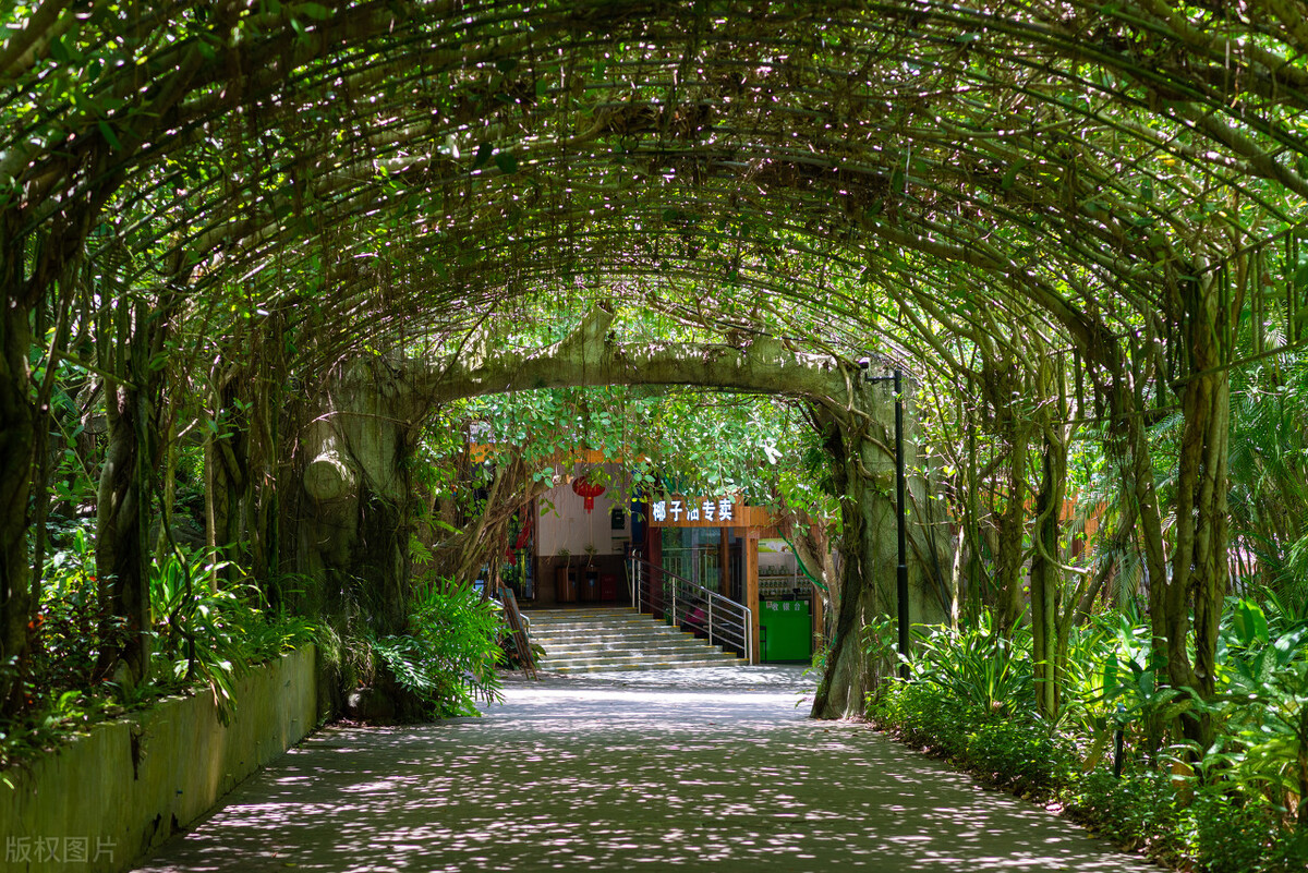 三亚十日游住酒店攻略,三亚自由行住宿攻略费用